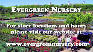 Evergreen System